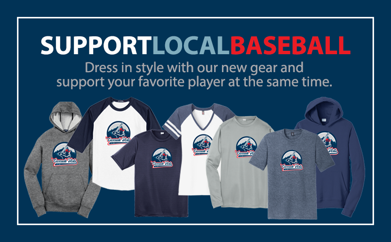 Support Local Baseball Store